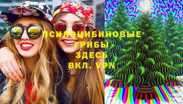 Альфа ПВП Богданович